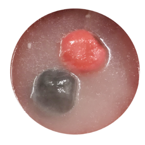 スープ